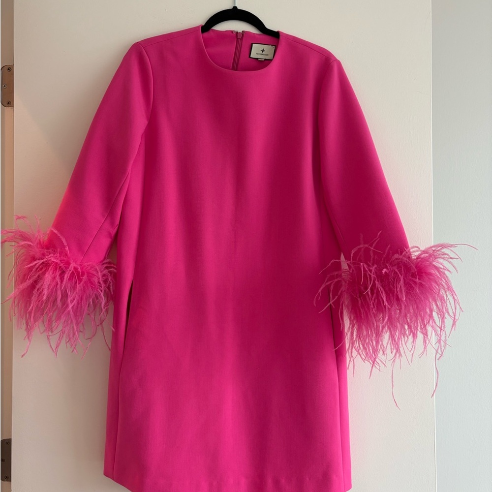 Tuckernuck Fuchsia Dress with Chic Design